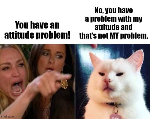Cat Funnie Attitude.jpg